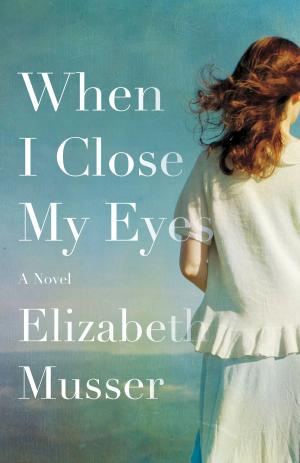 Cover of the book When I Close My Eyes by Christine Johnson