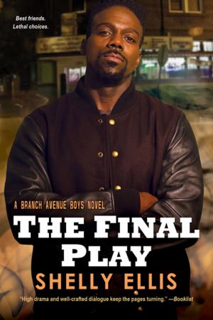 Cover of the book The Final Play by James Wolanyk