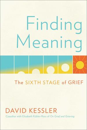 Book cover of Finding Meaning