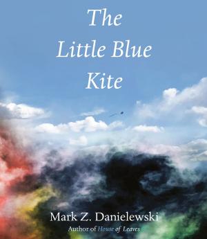 Cover of the book The Little Blue Kite by Allan Gurganus