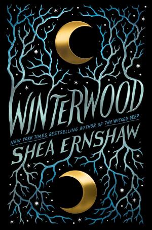 Cover of the book Winterwood by Emily Ziff Griffin