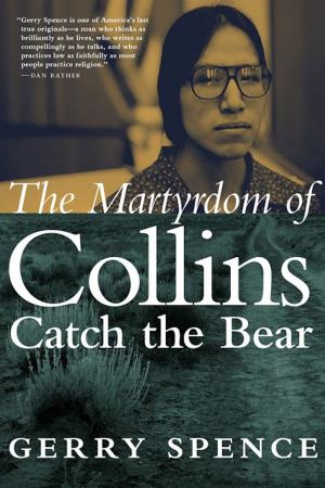 Book cover of The Martyrdom of Collins Catch the Bear