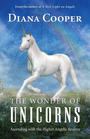 Cover of the book The Wonder of Unicorns by Brenda Shoshanna