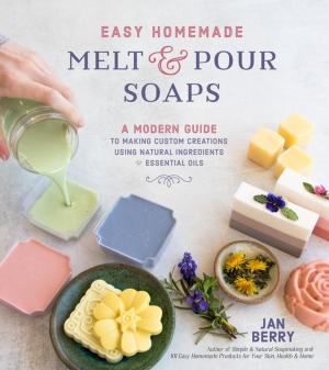 Cover of the book Easy Homemade Melt and Pour Soaps by Bob King
