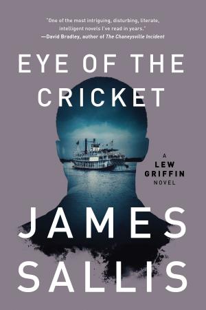 Cover of the book Eye of the Cricket by Janwillem van de Wetering