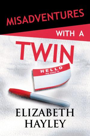 Cover of the book Misadventures with a Twin by Meredith Wild