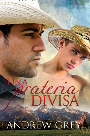 Cover of the book Una prateria divisa by Robbie Michaels