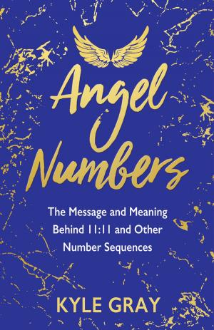 Cover of the book Angel Numbers by Mark S. Husson