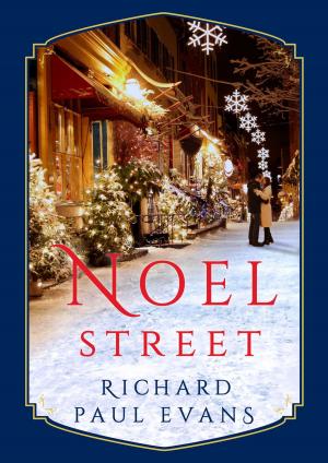 Book cover of Noel Street