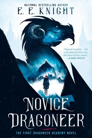 Cover of the book Novice Dragoneer by Monica Ferris