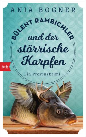 Book cover of Bülent Rambichler und der störrische Karpfen
