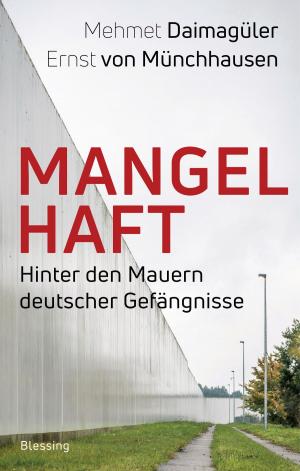 Cover of the book Mangelhaft by Frank Schirrmacher