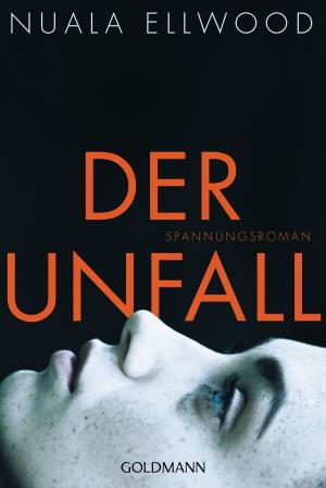 Cover of the book Der Unfall by Barbara Ellen Brink