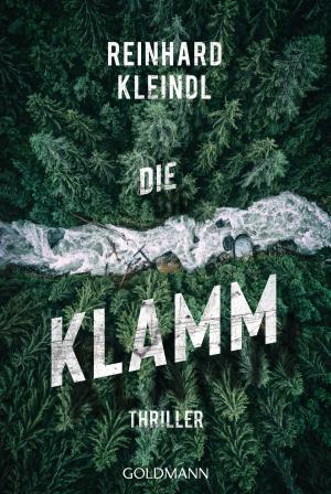 Book cover of Die Klamm