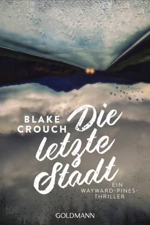 Cover of the book Die letzte Stadt by Lucie Marshall