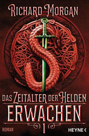Cover of the book Das Zeitalter der Helden 1 - Erwachen by carine boehler