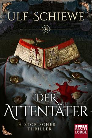 Cover of the book Der Attentäter by Stefan Frank