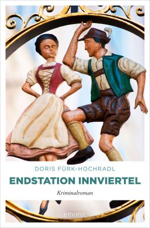 Cover of the book Endstation Innviertel by Lizzi Tremayne