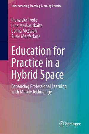 Cover of the book Education for Practice in a Hybrid Space by Ding-Geng Chen, Joseph C. Cappelleri, Naitee Ting, Shuyen Ho