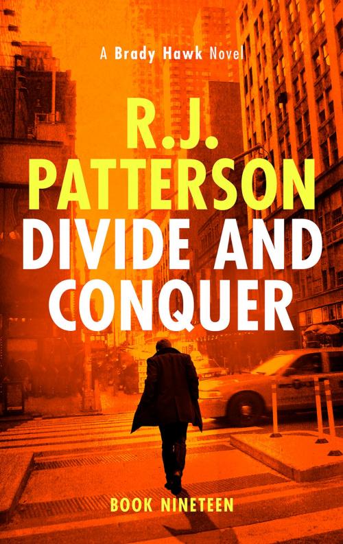 Cover of the book Divide and Conquer by R.J. Patterson, Green E-Books