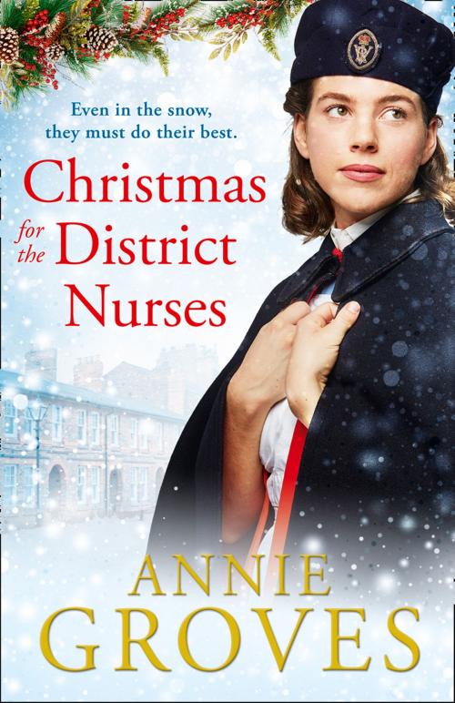 Cover of the book Christmas for the District Nurses (The District Nurse, Book 3) by Annie Groves, HarperCollins Publishers