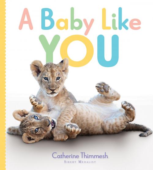 Cover of the book A Baby Like You by Catherine Thimmesh, HMH Books