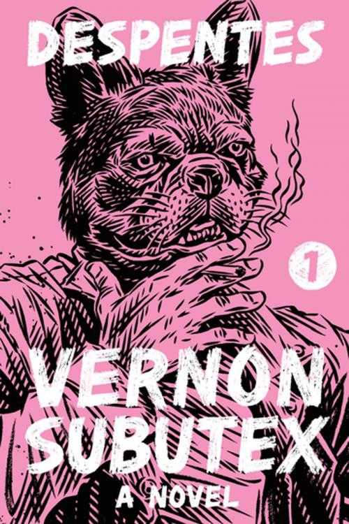 Cover of the book Vernon Subutex 1 by Virginie Despentes, Farrar, Straus and Giroux