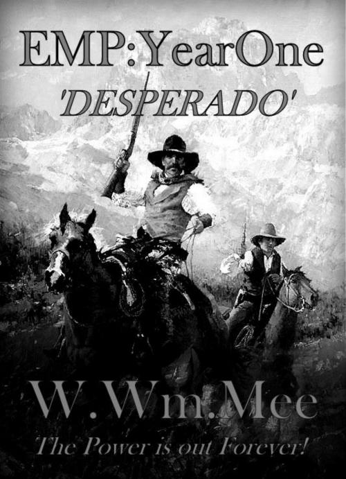 Cover of the book EMP Year 1 'Desperado' by W.Wm. Mee, W.Wm. Mee