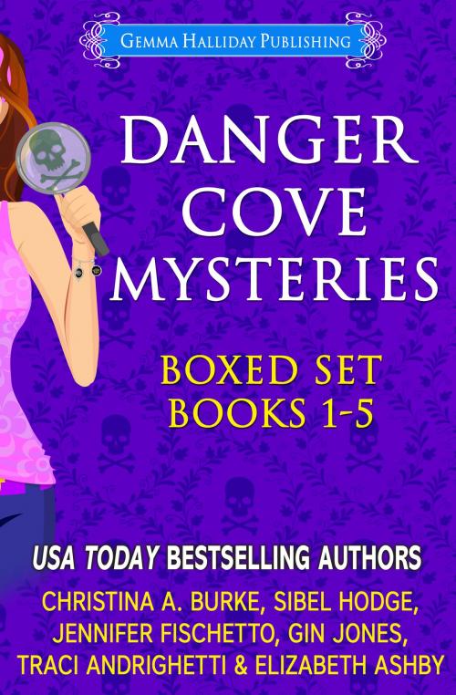 Cover of the book Danger Cove Mysteries Boxed Set (Books 1-5) by Elizabeth Ashby, Christina A. Burke, Sibel Hodge, Jennifer Fischetto, Gin Jones, Traci Andrighetti, Gemma Halliday Publishing