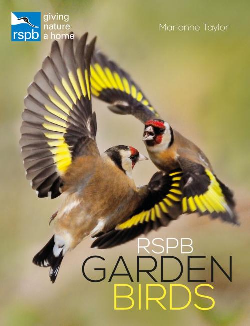 Cover of the book RSPB Garden Birds by Ms Marianne Taylor, Bloomsbury Publishing