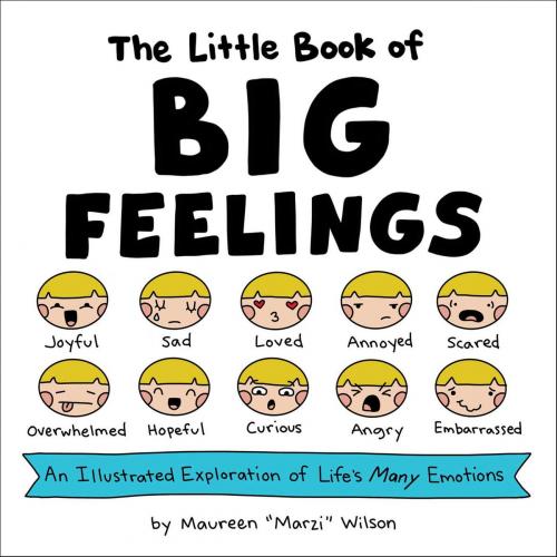 Cover of the book The Little Book of Big Feelings by Maureen Marzi Wilson, Adams Media