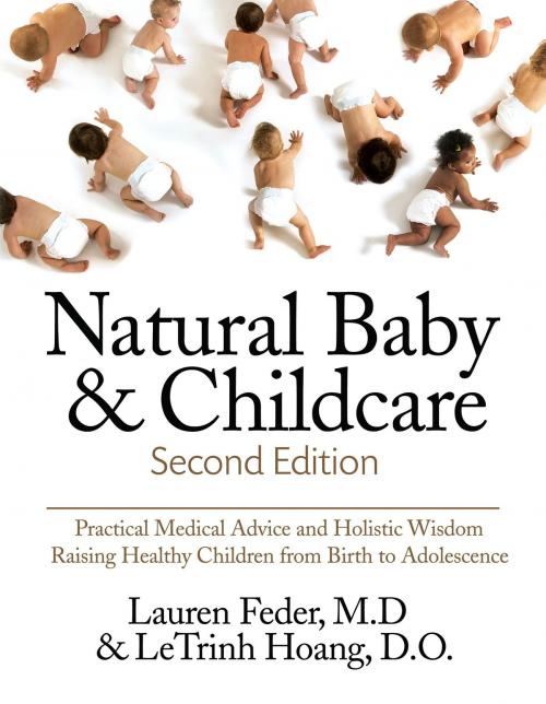 Cover of the book Natural Baby and Childcare, Second Edition by Lauren Feder, Letrinh Hoang, Hatherleigh Press