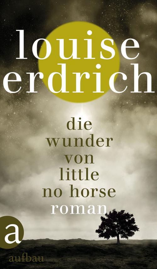 Cover of the book Die Wunder von Little No Horse by Louise Erdrich, Aufbau Digital
