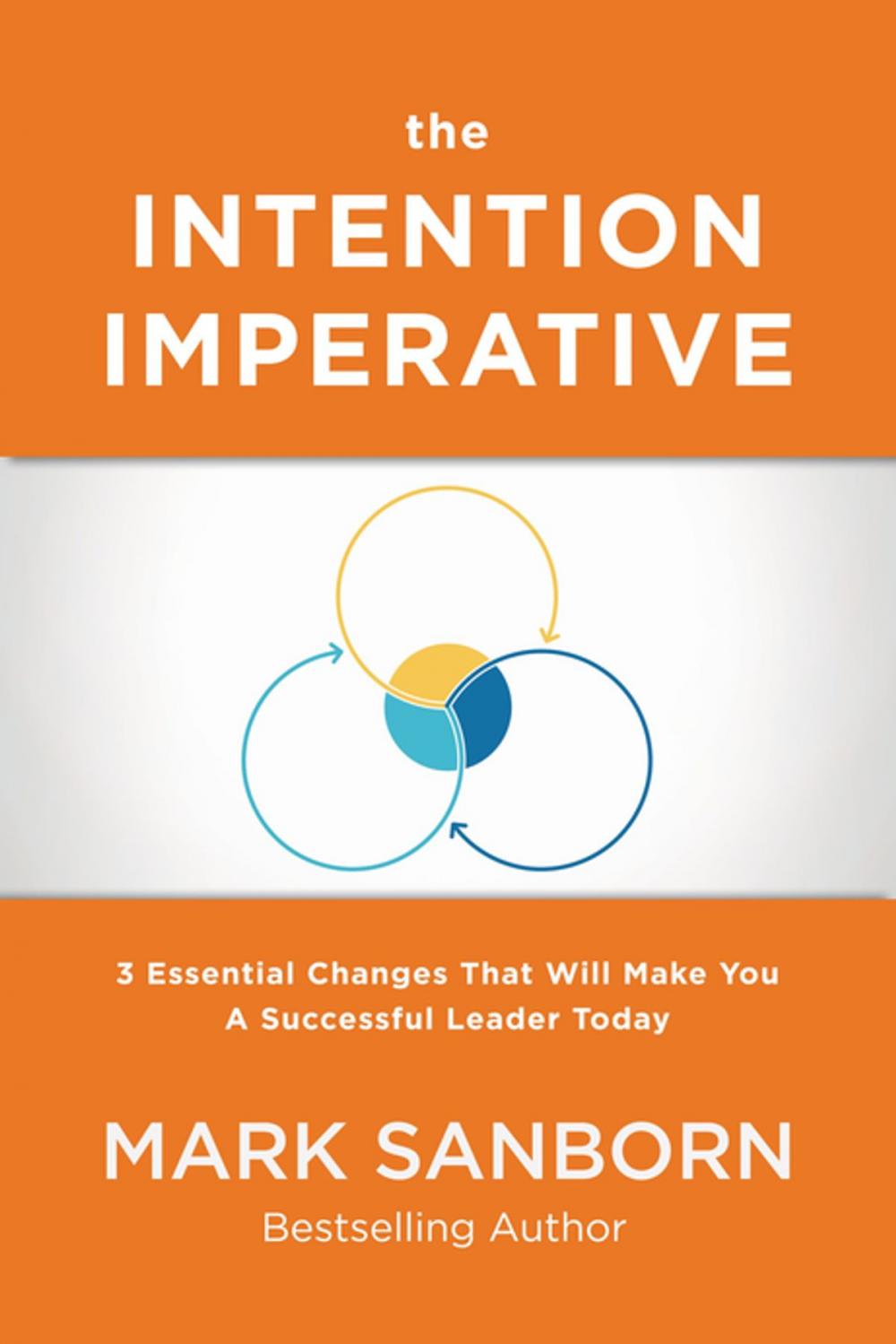 Big bigCover of The Intention Imperative