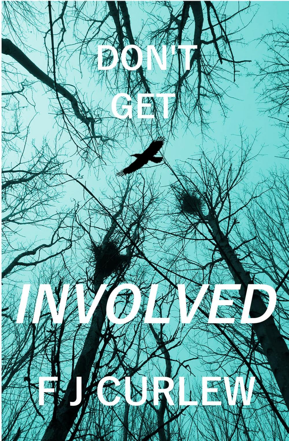 Big bigCover of Don't Get Involved