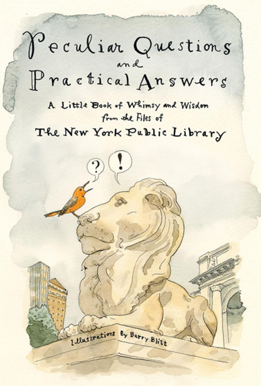 Big bigCover of Peculiar Questions and Practical Answers
