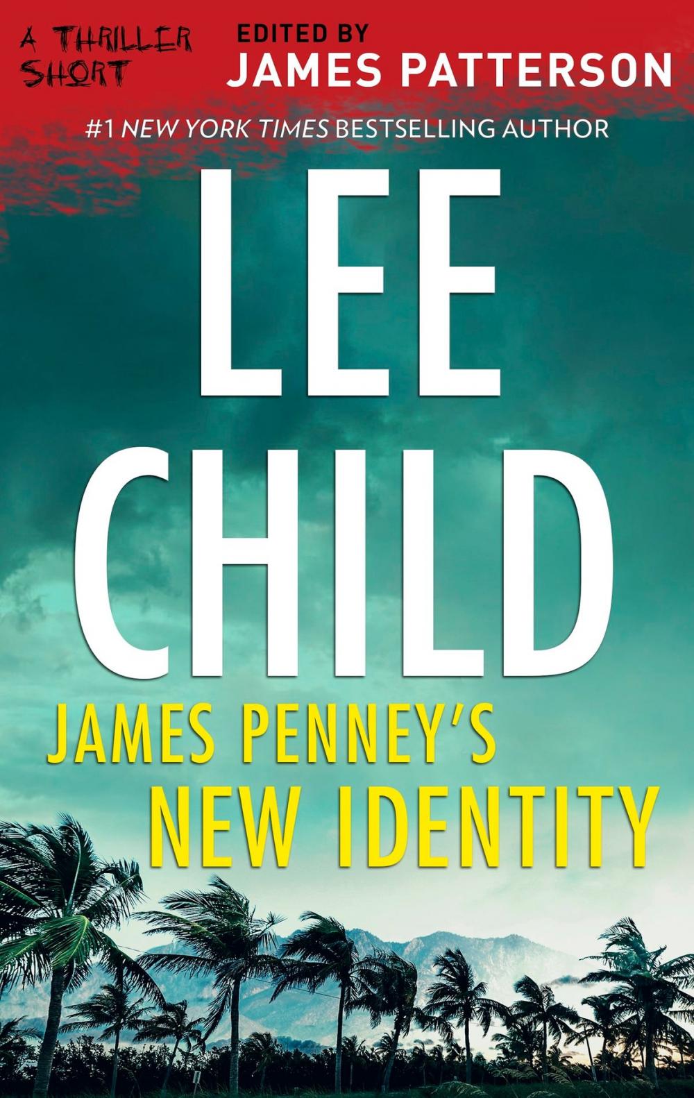 Big bigCover of James Penney's New Identity