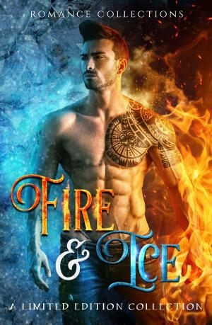 Cover of the book Fire & Ice by Elexis Avant