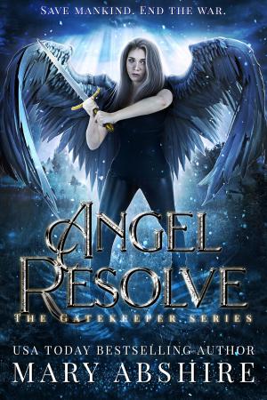 Cover of the book Angel Resolve by James MacArthur