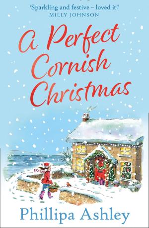 bigCover of the book A Perfect Cornish Christmas by 