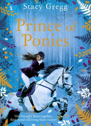 Book cover of Prince of Ponies
