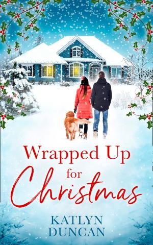 Cover of the book Wrapped Up for Christmas by Justine Elyot, Charlotte Stein, Chrissie Bentley, Elizabeth Coldwell, Rose de Fer, Valerie Grey, Aishling Morgan, Ashley Hind, Terri Pray, Kat Black