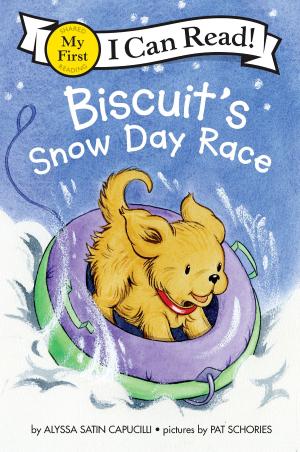 Cover of the book Biscuit's Snow Day Race by Jackie French