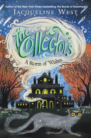 Cover of the book The Collectors #2: A Storm of Wishes by Anne Cameron