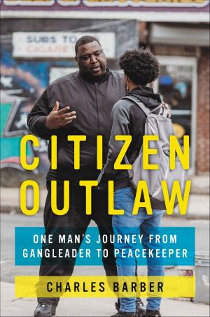 Cover of the book Citizen Outlaw by Eileen Myles
