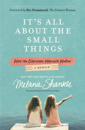 Cover of the book It's All About the Small Things by Tom Holladay, Chaundel Holladay
