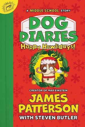 Book cover of Dog Diaries: Happy Howlidays