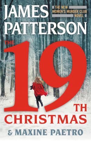 Cover of The 19th Christmas by James Patterson,                 Maxine Paetro, Little, Brown and Company