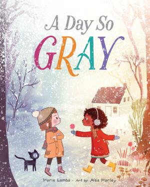 Book cover of A Day So Gray