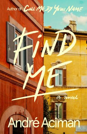 Cover of the book Find Me by Susan Froderberg